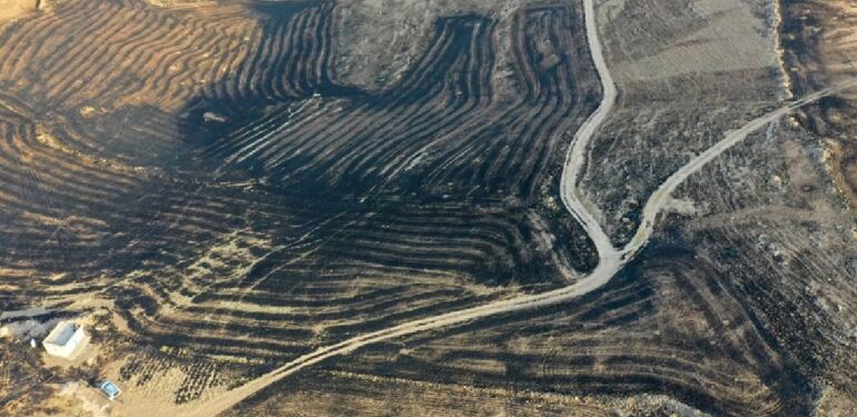 Diyarbakır ve Mardin arasında anız yangını: 5 ölü
