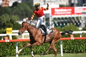 dragon flame akın sözen