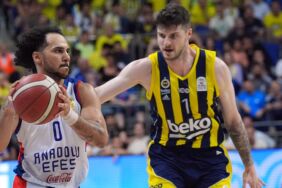 fenerbahçe anadolu efes shane larkin