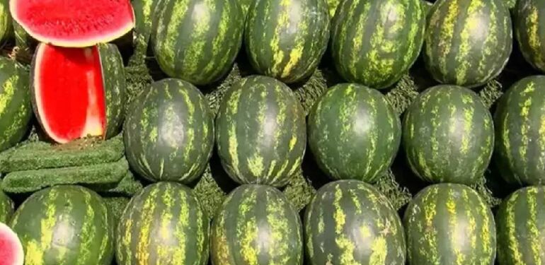 Kararında tüketilen karpuz, tansiyonu dengeliyor