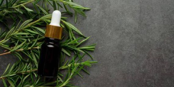 Kekik sağlığa şifa dağıtıyor!