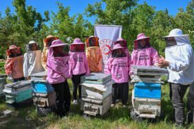 pembe kıyafetli arıcılar