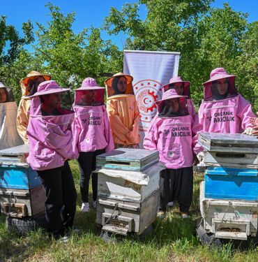 pembe kıyafetli arıcılar