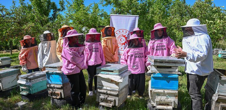 Pembe kıyafetli arıcılar, organik bal üretiyor