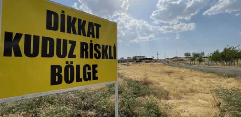 Şanlıurfa’nın Siverek ilçesinde sahipsiz köpekte tespit edilen kuduz nedeniyle 1 mahalle karantinaya alındı