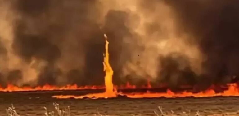 Şırnak’ta son 1 ayda, 202 yangında 23 bin dönüm alan zarar gördü