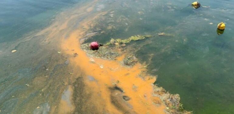 Tekirdağ’da denize 12 bin litre mazot sızdı; 12,6 milyon lira ceza