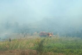 Adana'nın Kozan ilçesinde zeytin bahçesi ve ormanlık alana sıçrayan anız yangınına havadan ve karadan müdahale başlatıldı.