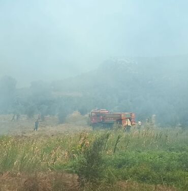Adana'nın Kozan ilçesinde zeytin bahçesi ve ormanlık alana sıçrayan anız yangınına havadan ve karadan müdahale başlatıldı.