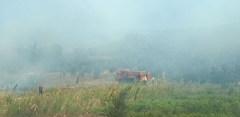 Adana’da anız yangını: Zeytinlik ve ormanlık alana sıçradı