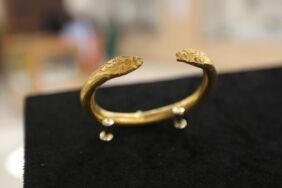 Ani'den 22 yıl önce çıkarılan _yılan başlı_ bilezikler müzede yerini aldı