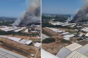 Antalya'da orman yangını!