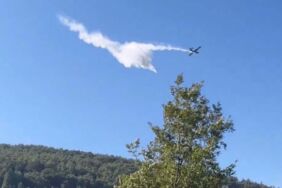 Bergama'daki orman yangını 24 saat sonra kontrol altında Orman işletme müdürü kazada yaşamını yitirdi