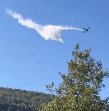 Bergama'daki orman yangını 24 saat sonra kontrol altında Orman işletme müdürü kazada yaşamını yitirdi