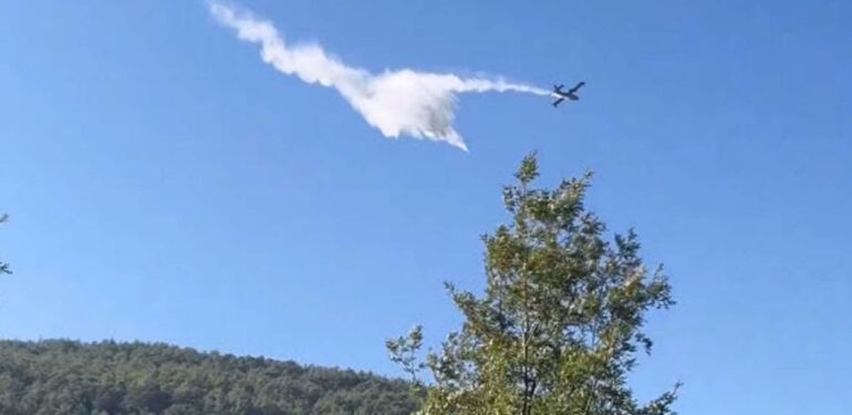 Bergama’daki orman yangını 24 saat sonra kontrol altında: Orman işletme müdürü kazada yaşamını yitirdi