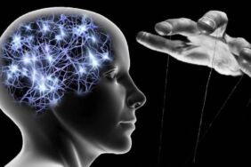 Bilim insanlarından tarihi buluş_ İlk kez uzaktan 'zihin kontrolü' yapıldı