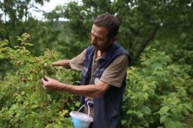 Bu yıl 20 gün erken oldu_ Kilosu 60 TL...