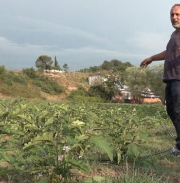 'Burada tarım olmaz' diyenleri dinlemedi 4 ayda 4 milyon gelir elde etti...