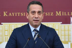 CHP'li Başarır'dan sokak hayvanları yasasına tepki 'Bunu Genel Kurul'a getirmeyin'