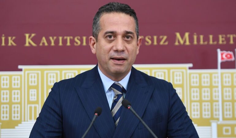 CHP'li Başarır'dan sokak hayvanları yasasına tepki 'Bunu Genel Kurul'a getirmeyin'