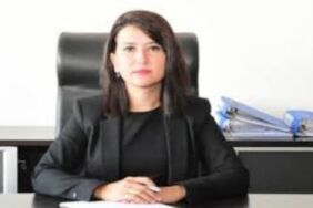 CHP'li Gökçe Gökçen 'Katliam yasasına hiçbir belediyemiz ortak olmayacak'