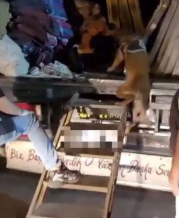Çelik kapıda esrar sevkiyatına 4 tutuklama