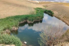 Dere kenarında şok edici keşif_ Battaniyeye sarılı ceset bulundu!