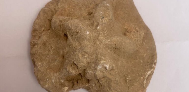 Diyarbakır'da 1500 yıllık kilise kalıntısında denizyıldızı fosili bulundu