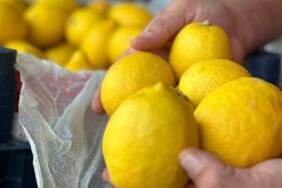 Domatesin fiyatı düştü, limonun arttı