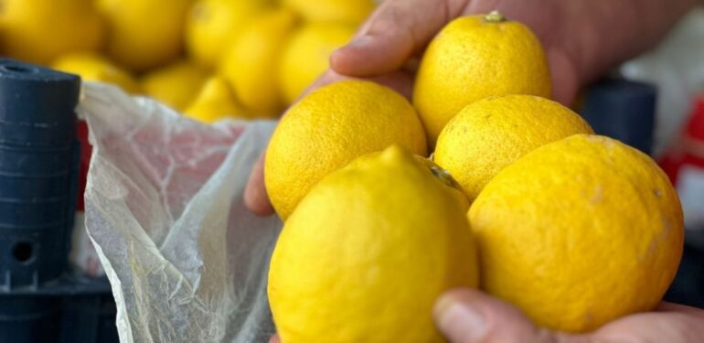 Don vurdu, limon fiyatları uçtu!