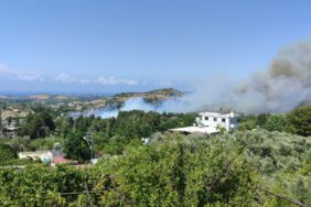 Hatay’da orman yangını