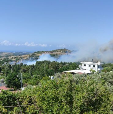 Hatay’da orman yangını