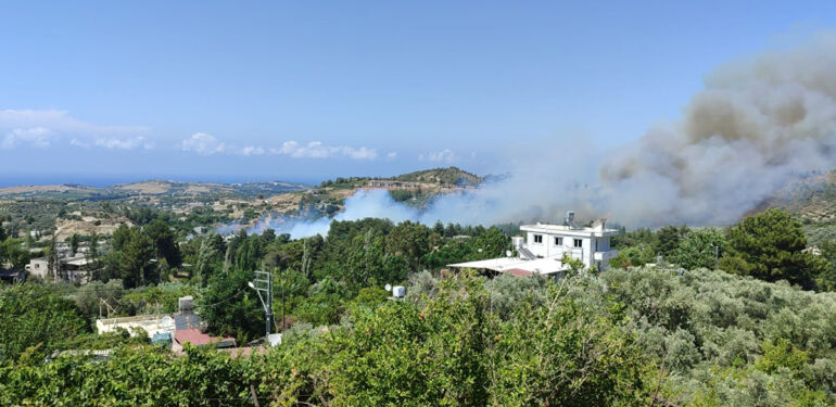 Hatay’da orman yangını