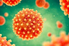 Hepatitin bulaşımı gün geçtikçe artıyor