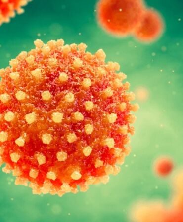 Hepatitin bulaşımı gün geçtikçe artıyor