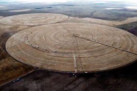 Her biri 69 futbol sahası büyüklüğünde... Devasa tarlalarda hasat tamamlandı