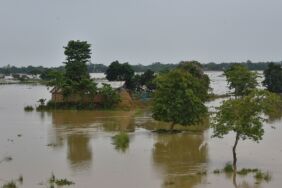 Hindistan'da aşırı yağışların yol açtığı sellerde hayatını kaybedenlerin sayısı 48'e yükseldi