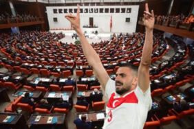 İYİ Parti'den TBMM'ye 'bozkurt' teklifi!