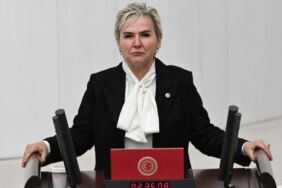 İYİ Parti'li Nimet Özdemir'den sokak hayvanlarına ilişkin kanun teklifine sert tepki 'Ötanazi adı altında katliam