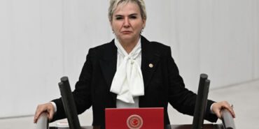 İYİ Parti'li Nimet Özdemir'den sokak hayvanlarına ilişkin kanun teklifine sert tepki 'Ötanazi adı altında katliam