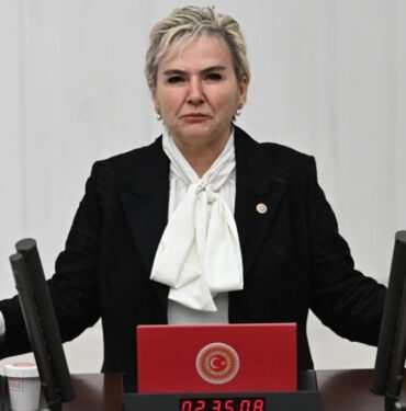 İYİ Parti'li Nimet Özdemir'den sokak hayvanlarına ilişkin kanun teklifine sert tepki 'Ötanazi adı altında katliam
