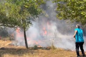 İstanbul Maltepe'de orman yangını! Ekipler müdahale ediyor