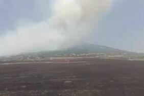 Kahramanmaraş'ta orman yangını