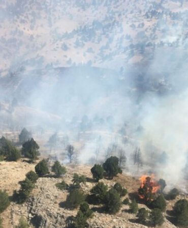 Kahramanmaraş'ta orman yangını! Havadan ve karadan müdahale ediliyor