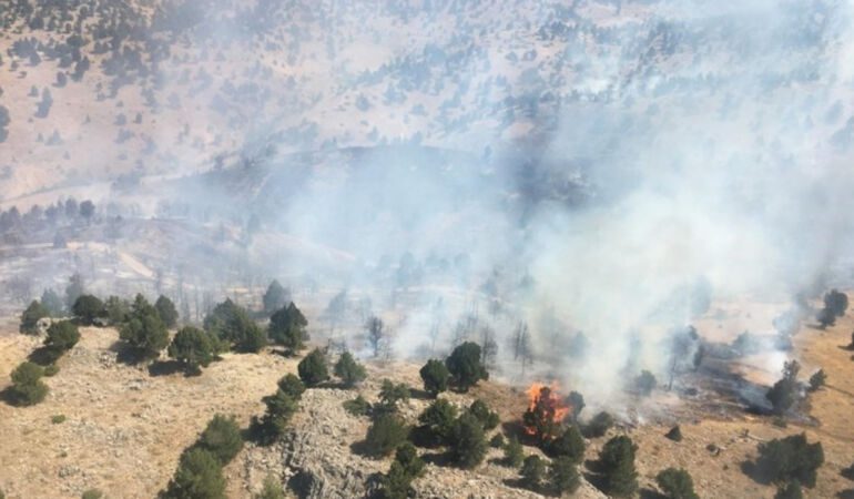Kahramanmaraş'ta orman yangını! Havadan ve karadan müdahale ediliyor