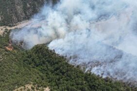 Karabük'te ormana yıldırım düştü, yangın çıktı (2)