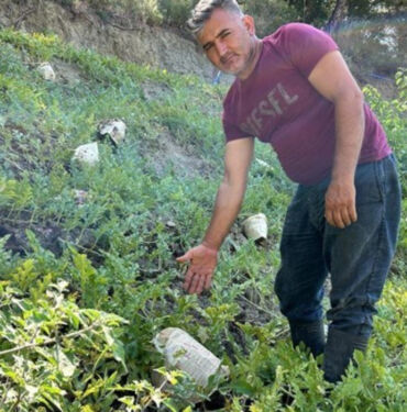 Kavurucu sıcaklarda mahsulünün yanmaması için ilginç bir çözüm buldu