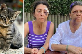 Kedi besleyen kardeşlere darp ve tehdit_ Saldırganlar serbest kaldı!