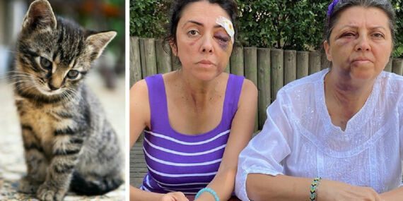Kedi besleyen kardeşlere darp ve tehdit: Saldırganlar serbest kaldı!