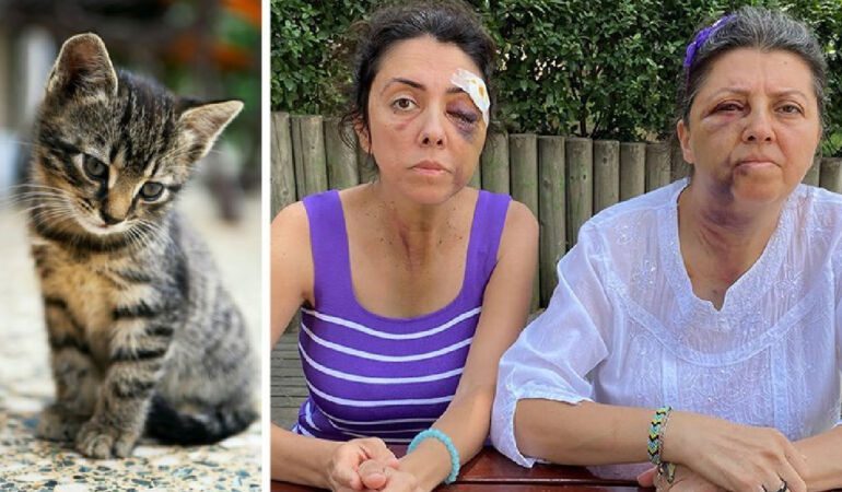 Kedi besleyen kardeşlere darp ve tehdit_ Saldırganlar serbest kaldı!